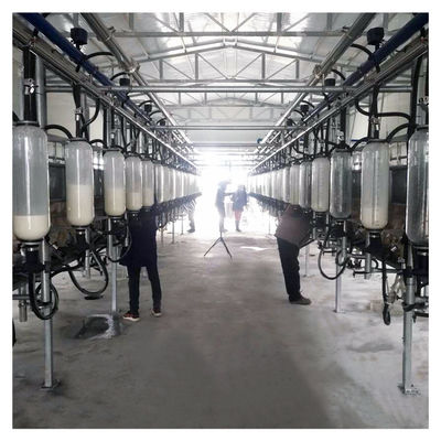 Salon de traite en arête de poisson automatique du vide 2100L avec la fonction de Sunction