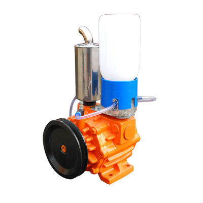 Vide poussé rotatoire de Vane Type Vacuum Pump 220V 50Hz 1Phase de doubles étapes