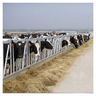 serrure principale de la vache 1.2m/Cow