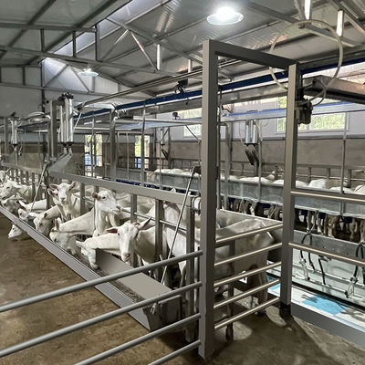 Salon de traite flexible de chèvre de haut de productivité de laiterie de fermes de traite équipement de salon