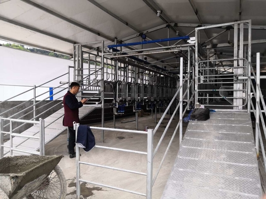 Salon de traite en arête de poisson de la chèvre SUS304 personnalisable