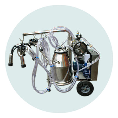2 seaux 220L/Min Cow Farm Milk Machine 24 vaches par heure