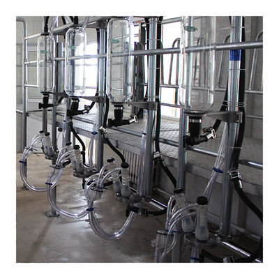 Lignes parallèles machine automatique de lait de salon de traite d'arête de hareng de 20T/H