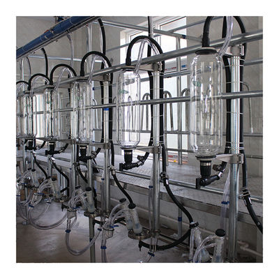 Lignes parallèles machine automatique de lait de salon de traite d'arête de hareng de 20T/H
