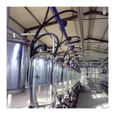 Salon de traite en arête de poisson de la canalisation 380V de PVC avec le mètre électronique de lait