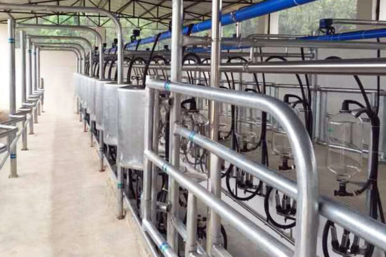Mètre électrique automatique parallèle de lait de salon de traite de vache à libération rapide