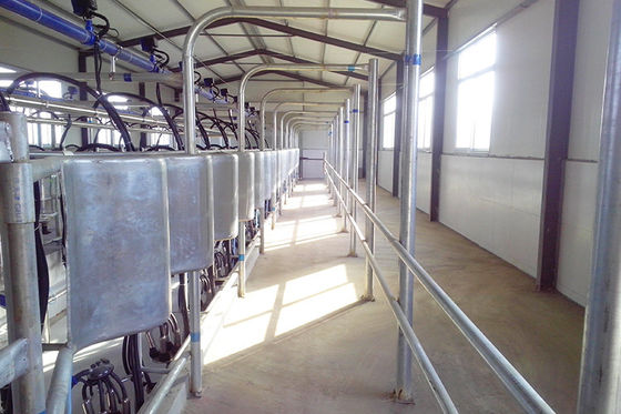 Mètre électrique automatique parallèle de lait de salon de traite de vache à libération rapide