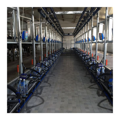 Machine à traire en arête de poisson fonctionnante du vide 50KPa 2.2kw pour l'exploitation laitière