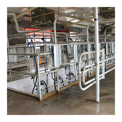 Grand 110v 20 cale le salon en arête de poisson de lait pour la traite de vache