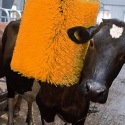 Le massage de vache à équipement d'élevage de volaille balayent la rotation effrayent le rasage balayent