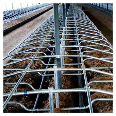 Corrosion de stalle libre bilatérale de vache à acier inoxydable anti
