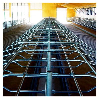 grange libre de stalle de 200cm galvanisée autour du tube et du tuyau de Stell pour la vache