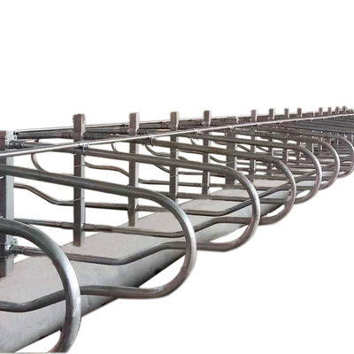 Le type tête à tête 1.30m/cow clôturent Cattle Free Stall de taille ajustable