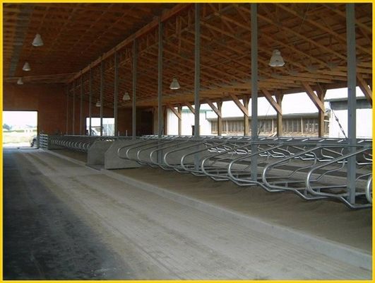 Le type tête à tête 1.30m/cow clôturent Cattle Free Stall de taille ajustable