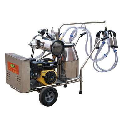 équipement automatique de traite de moutons de la machine SS304 du lait 24cows/H