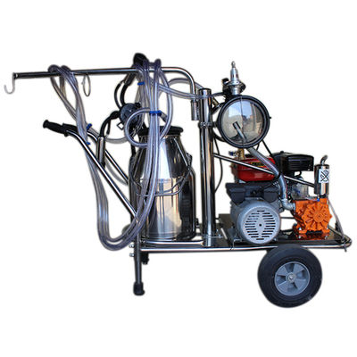 équipement automatique de traite de moutons de la machine SS304 du lait 24cows/H