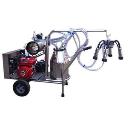 équipement automatique de traite de moutons de la machine SS304 du lait 24cows/H