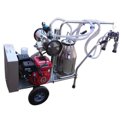 équipement automatique de traite de moutons de la machine SS304 du lait 24cows/H