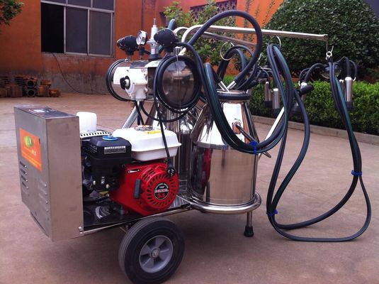 Machine à traire mobile portative de la catégorie comestible solides solubles avec le moteur à essence