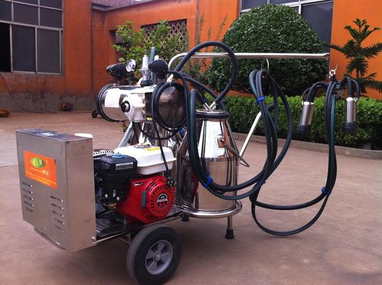 Machine à traire mobile portative de la catégorie comestible solides solubles avec le moteur à essence