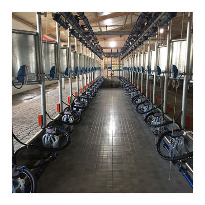 Mètre électrique automatique parallèle de lait de salon de traite de vache à libération rapide