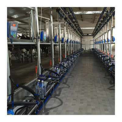Machine d'aspiration de lait de vache à salon de traite d'arête de hareng du rendement élevé 4KW
