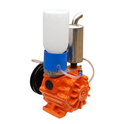 Vide poussé rotatoire de Vane Type Vacuum Pump 220V 50Hz 1Phase de doubles étapes