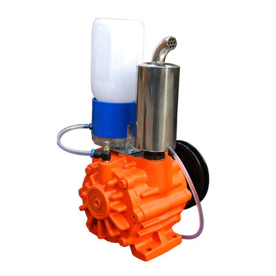 Vide poussé rotatoire de Vane Type Vacuum Pump 220V 50Hz 1Phase de doubles étapes