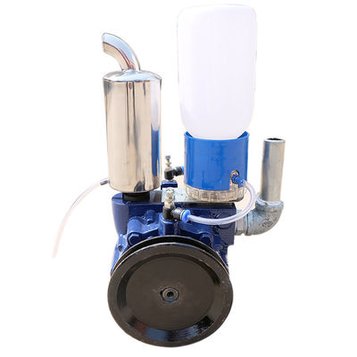 220V Vane Vacuum Pump rotatoire