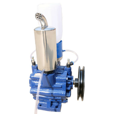 Frein électrique de pompe à vide liquide de Ring Single Stage Rotary Vane