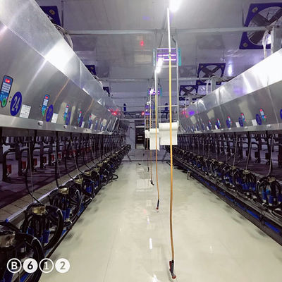 Équipement électronique en arête de poisson de mètre de salon de traite de vache à chèvre d'usine