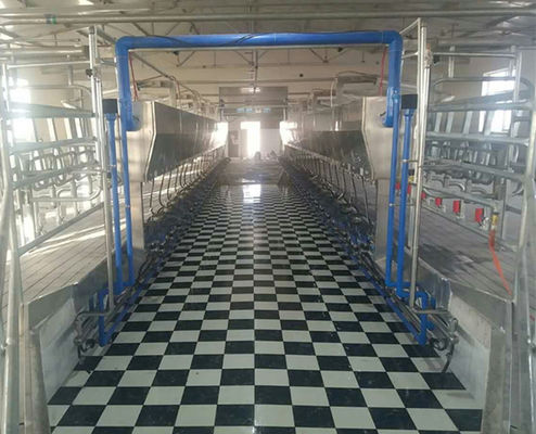 24-100 système automatique en arête de poisson de machine de vache à salon de traite de point
