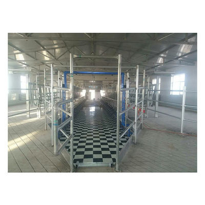 Équipement électronique en arête de poisson de mètre de salon de traite de vache à chèvre d'usine
