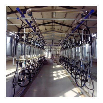 24-100 machine efficace d'exploitation laitière de salon de traite de laiterie de vache à point haute