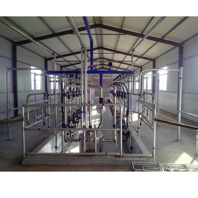 Machine en arête de poisson de vache à chèvre d'usine de salon de traite d'équipement automatique d'exploitation laitière