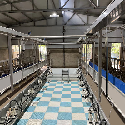 Cuvette d'alimentation en arête de poisson de salon de traite de la chèvre SUS304 type rapide canalisation de sortie