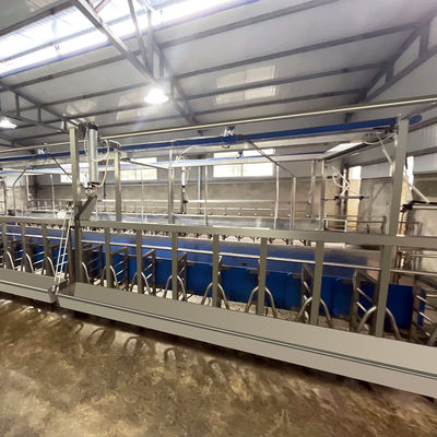Cuvette d'alimentation en arête de poisson de salon de traite de la chèvre SUS304 type rapide canalisation de sortie