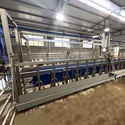 Cuvette d'alimentation en arête de poisson de salon de traite de la chèvre SUS304 type rapide canalisation de sortie