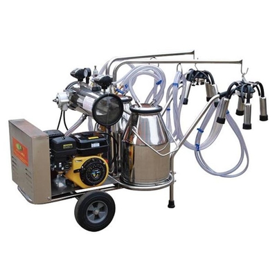 10-12 machine à traire de vache à chèvre de chameau de Cows/H électrique