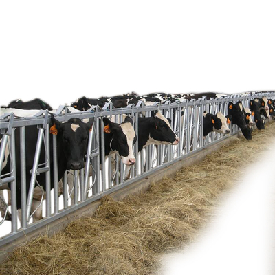 Équipement principal de machines agricoles de bétail de serrure de vache auto-bloquante à panneau