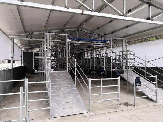 Système de traite d'acier inoxydable de machines à traire de chèvre d'exploitation laitière